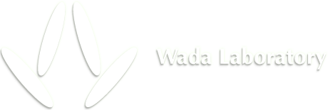 和田研究所：Wada Laboratory